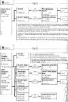 Family Tree from Kuhardt, Germany